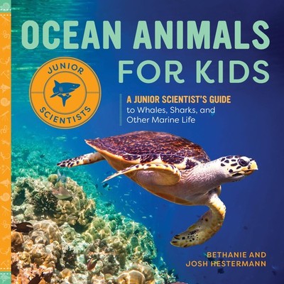Ocean Animals for Kids by Bethanie Hestermann