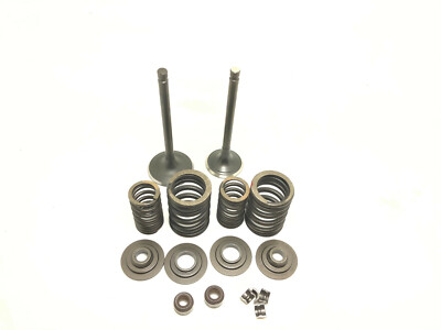 ENGINE COMPLETE VALVE KIT SET 450 550 Hisun Sector Vector Tactic RK Forge Strike