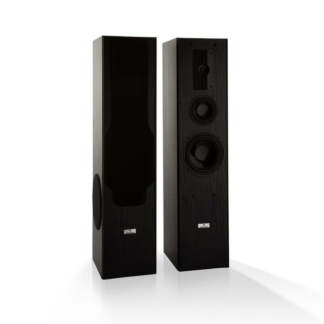 2 tower speakers