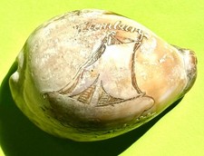 Andenken / Souvenir - Kauri Muschel , Andenken an Hamburg , um 1900