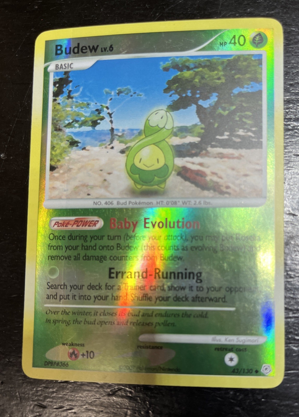 Pokémon TCG Budew Diamond and Pearl Reverse Holo Card 43/130 LP Pokemon Game!