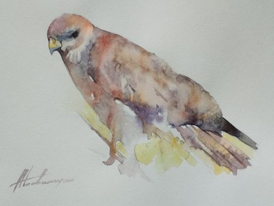 Kestrel, Birds, Watercolor artwork, Handmade, Original painting on paper