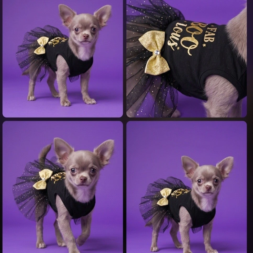 SimplyDog Dresses for Dogs for sale