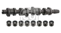 Febi Bilstein Nockenwellensatz 33195 FüR Skoda Vw Bmm Audi Seat Bls Bpw Bmp A4 5