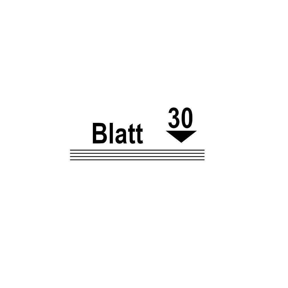 Bild 7 von 8
