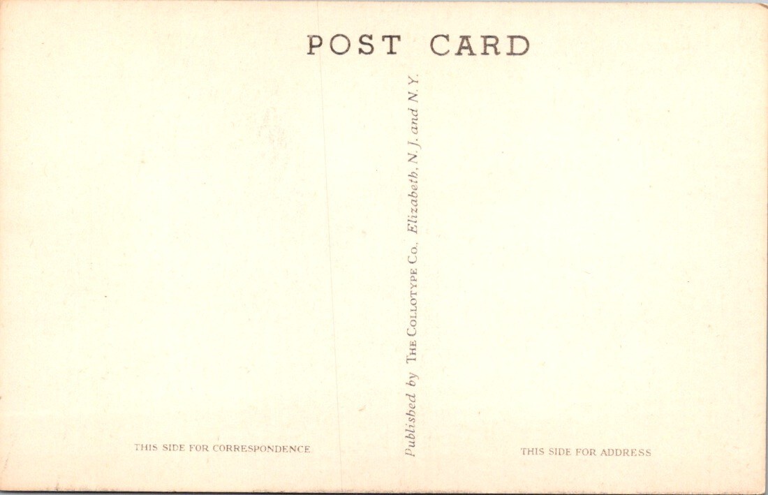 Vintage Postcard Cathedral Arch of Elms at Tiverton RI 1930s JR2