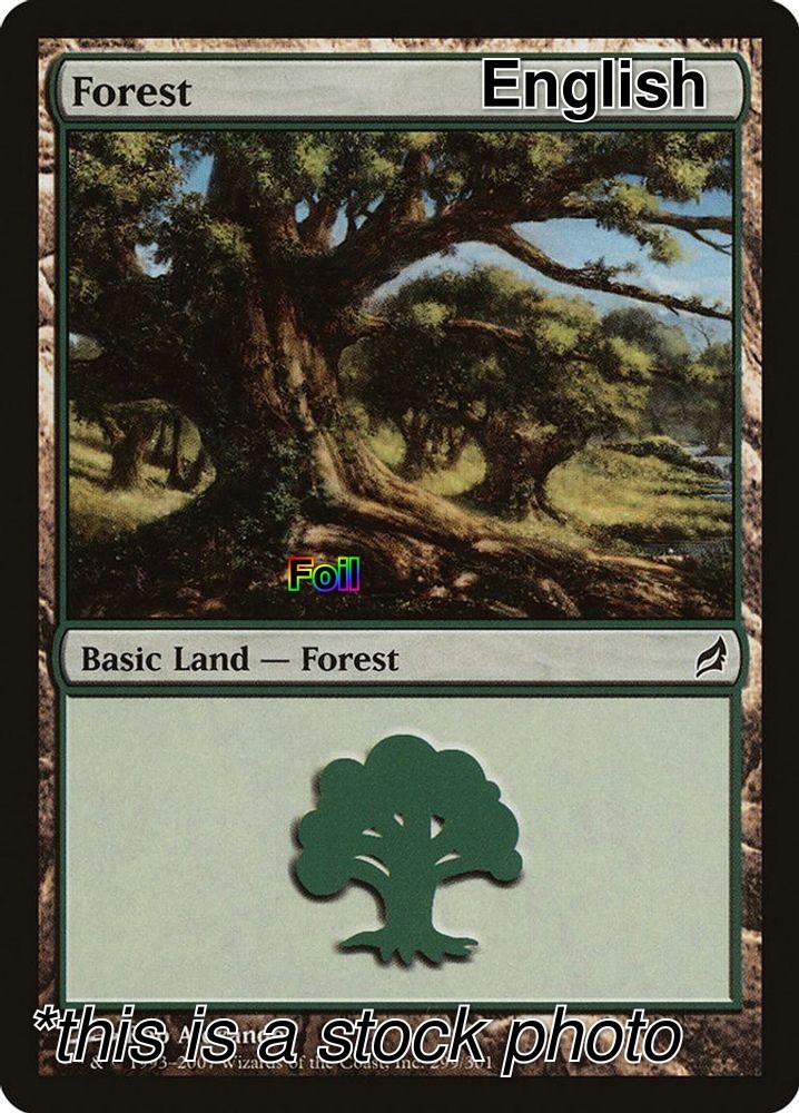 Forest [Foil MP - Lorwyn 299]