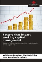 Valdilene GonçAlves Machado Silva (U. A.) | Factors That Impact Working...