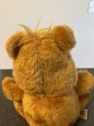 VINTAGE 1984 TENDERHEART CARE BEARS PLUSH PIGGY BANK — photo 10