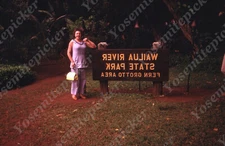 Sl57  Original Slide 1970's  Hawaii  Wailua river state park fern grotto 393a