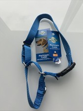 petsafe premier martingale dog collar medium 3/4 blue No pull training collar.2C