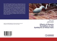 Effects Of Phoenix Dactylifera On The Epididymis Of Wistar Rats Joseph O. Hambol