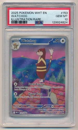 2025 POKEMON WHITE FLARE EN ILLUSTRATION RARE WATCHOG #153 PSA 10 GEM MINT
