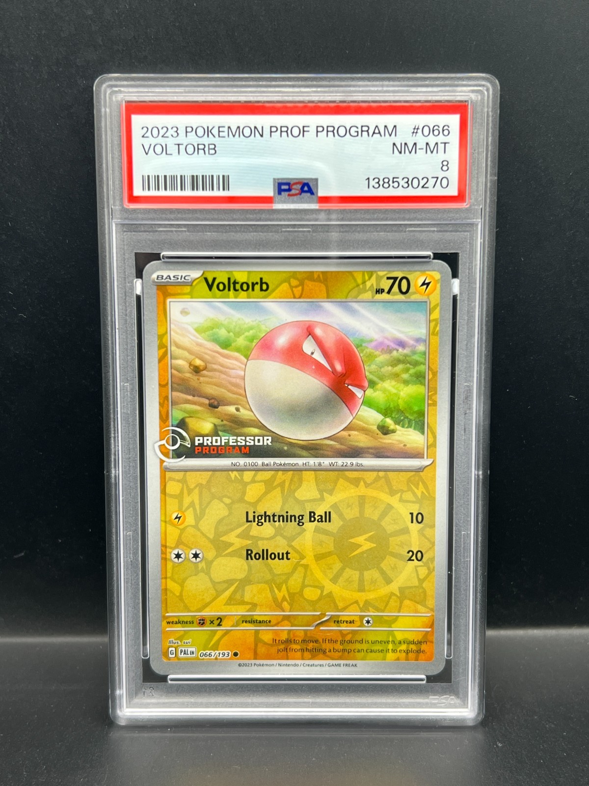 Pokemon PSA 8 NM-MT Voltorb 066/193 Professor Program 2023 Promo Holo S#0270
