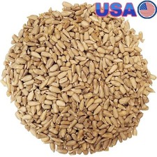 Premium Sunflower Hearts No Waste Bird Seed Attracts Songbirds High Energy New