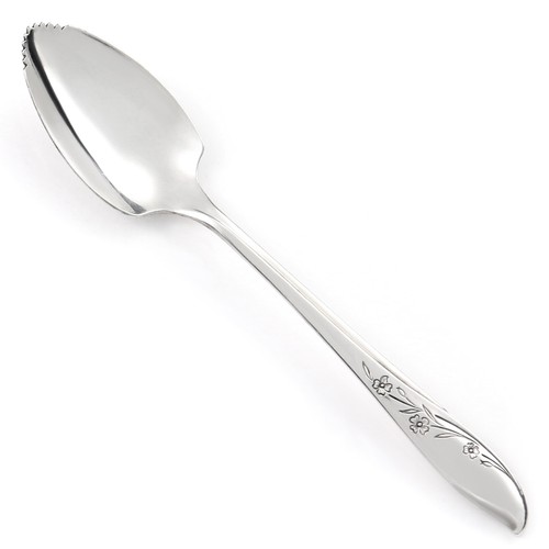 1847 Rogers Bros SPRINGTIME International Silver Plate 1957 CHOICE Flatware - Picture 12 of 29