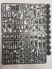 Freeguild Steelhelms, Cities of Sigmar, New Sculpts, AOS 3rd Ed, GW