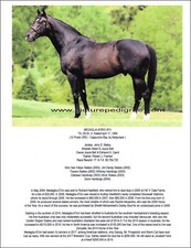 Caballo de carreras MEDAGLIA d ORO semental pura sangre imagen biografía Jerry Bailey