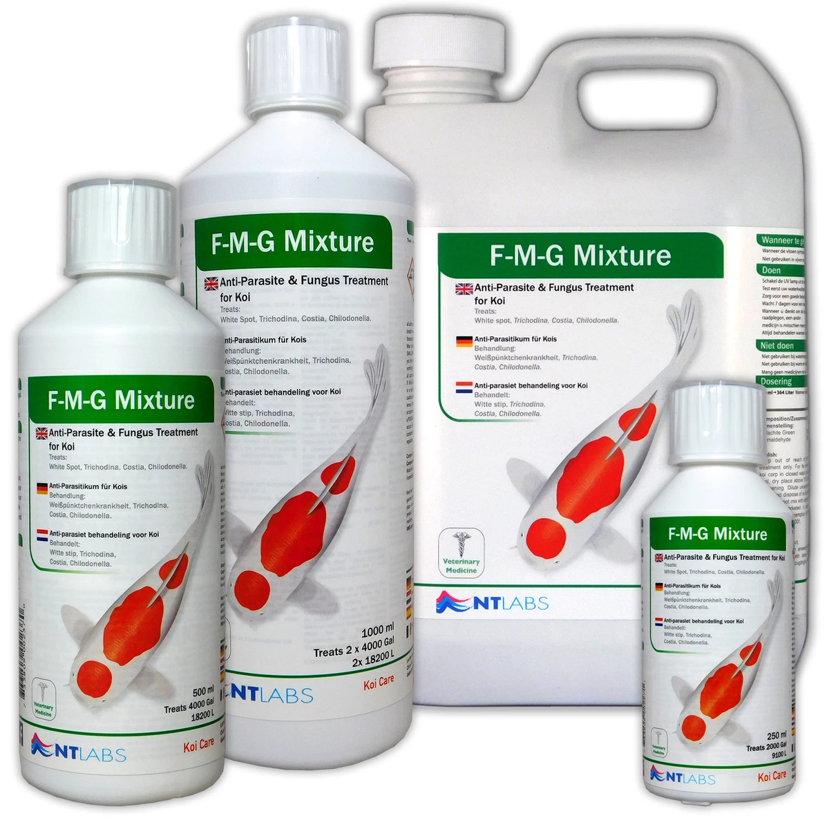 Fmg koi sales