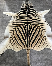 Large Equus Burchell Genuine Zebra Skin rug
