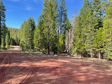 California Land For Sale - 1.41 Acres With Tall Trees & Level! - Modoc County