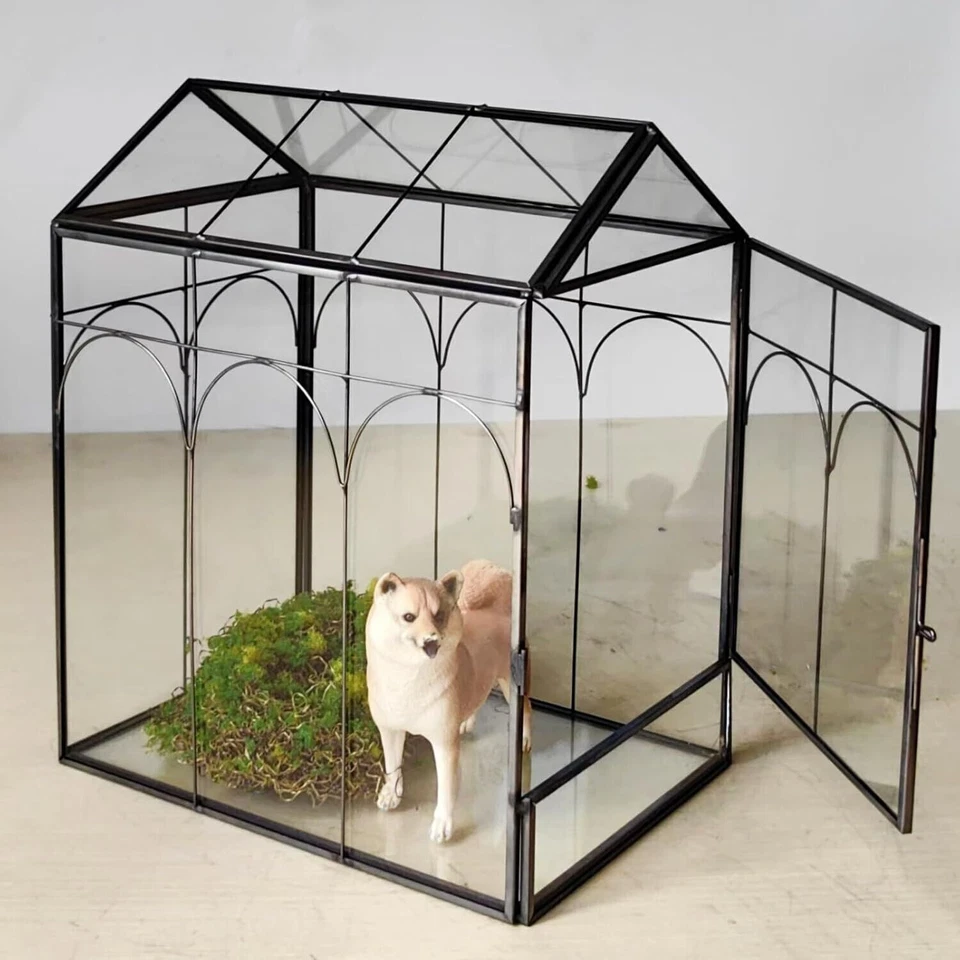 Contenedor en forma de casa para terrario de vidrio de cactus suculentas con jardinera de puerta lateral Foto 4 de 4