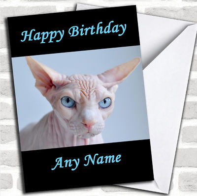 Blue Eyed Sphynx Cat Birthday Customised Card | eBay