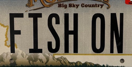 Vanity FISH ON license plate Fishing Fisherman Angler Angling Trout Fly Pole Cod - Picture 3 of 9
