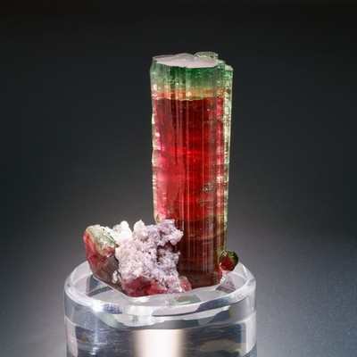 Tourmaline, Lepidolite, Chameleon Pocket, Aricanga, Sao Jose da Safira, Minas
