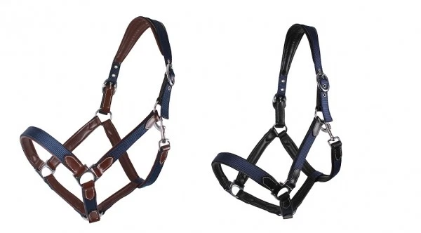 Halfter Nylon QHP mit Lederunterlegung Edelstahlschnallung blau-schwarz oder bla - Bild 1 von 1