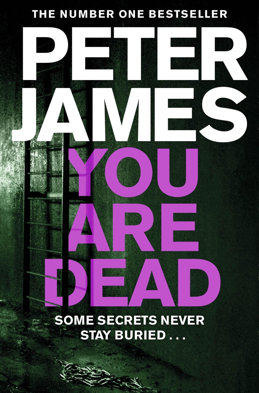 Thumbnail - You Are Dead | Peter James | Taschenbuch | Roy Grace | Kartoniert /