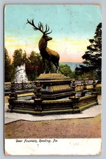 Postcard Pennsylvania Reading Deer Fountain UDB 1906   G420