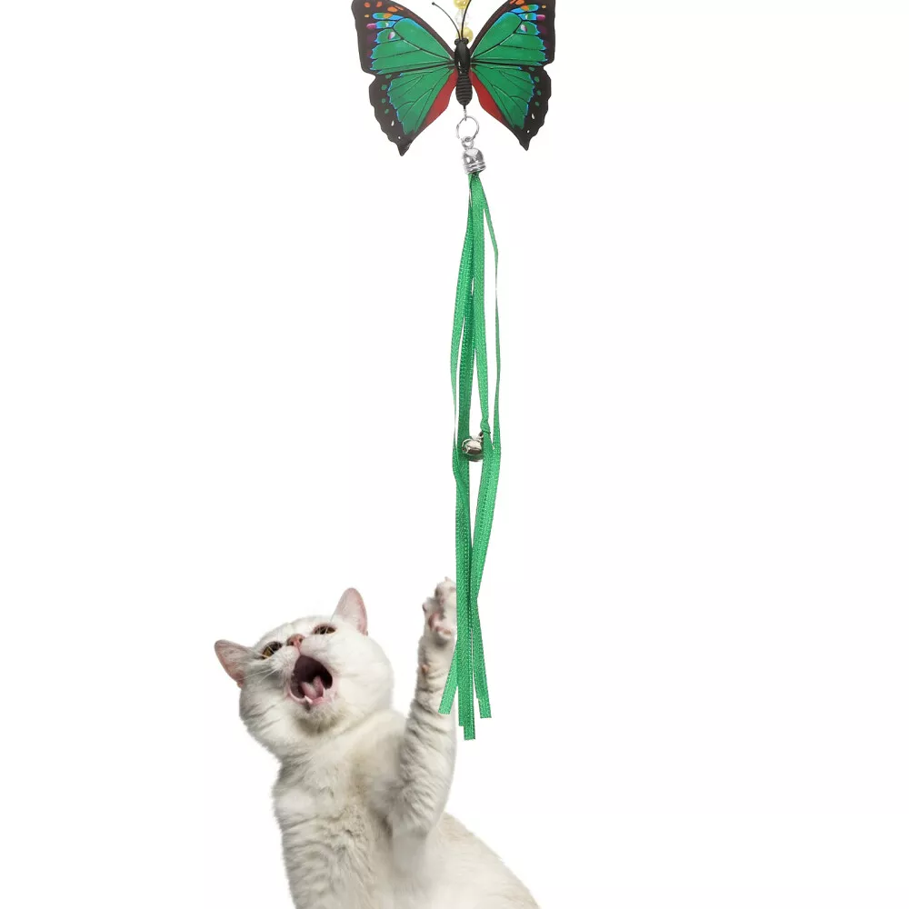 Butterfly wand cat toy cheap