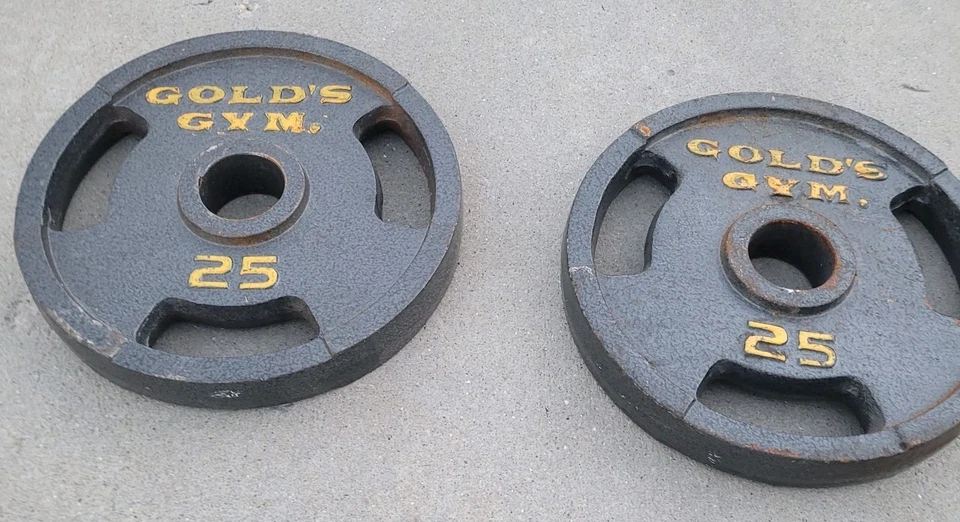 Par de placas de peso Gold's Gym de hierro fundido de 25 libras tamaño olímpico - 50 lb en total Foto 4 de 4