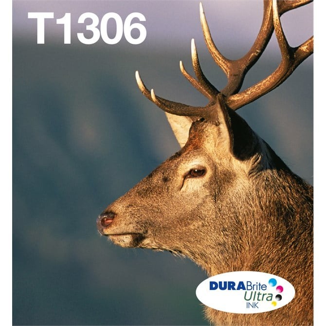 Epson T1306XL Stag Genuine High Yield Multipack, Eco-Friendly Packaging, 3-colours DURABrite Ultra Ink Cartridges - Image 2