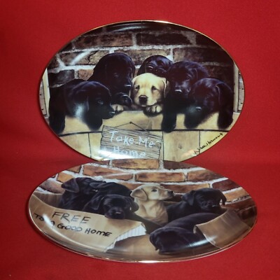 Decorative Dog Plate Free To A Good Home &Take Me Home Broken Repaired