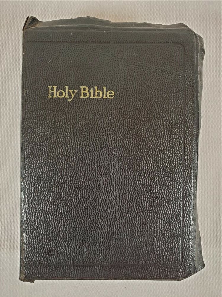 Holy Bible KJV Self-Pronouncing Old & New Testaments Illustrated