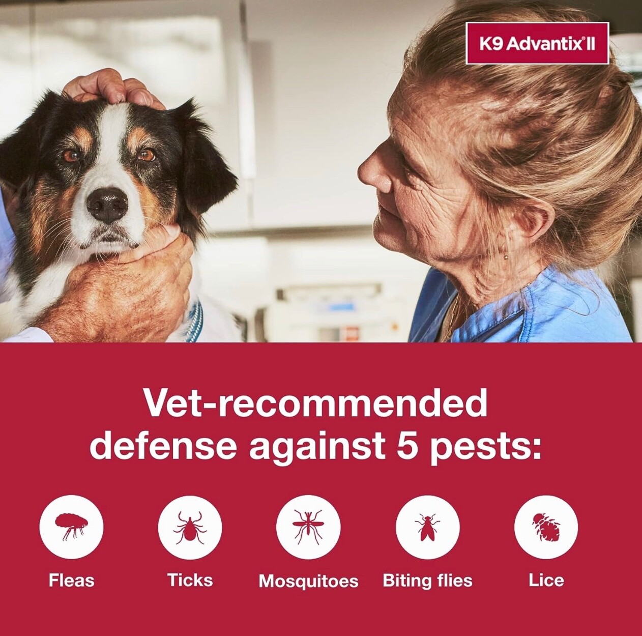 K9 Advantix II Flea & Tick Treatment for Large Dogs 2155lbs,6 Pack eBay