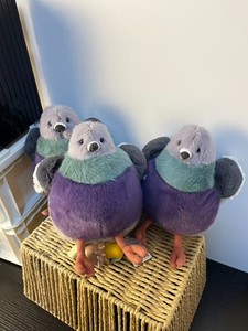 Leicester Pigeon | eBay