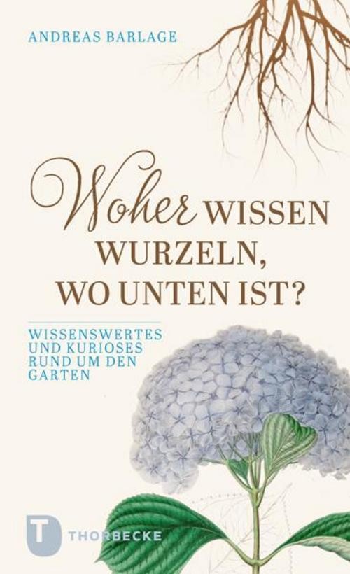 Woher wissen Wurzeln, wo unten ist? Andreas Barlage