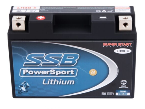 kawasaki 1000sx 2020