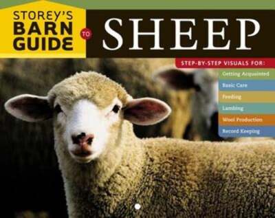 Storeys Barn Guide Sheep by Judy Pangman: Used