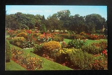 1970s Malcolm Gross Memorial Rose Garden Parkway Boulevard Allentown PA Lehigh C
