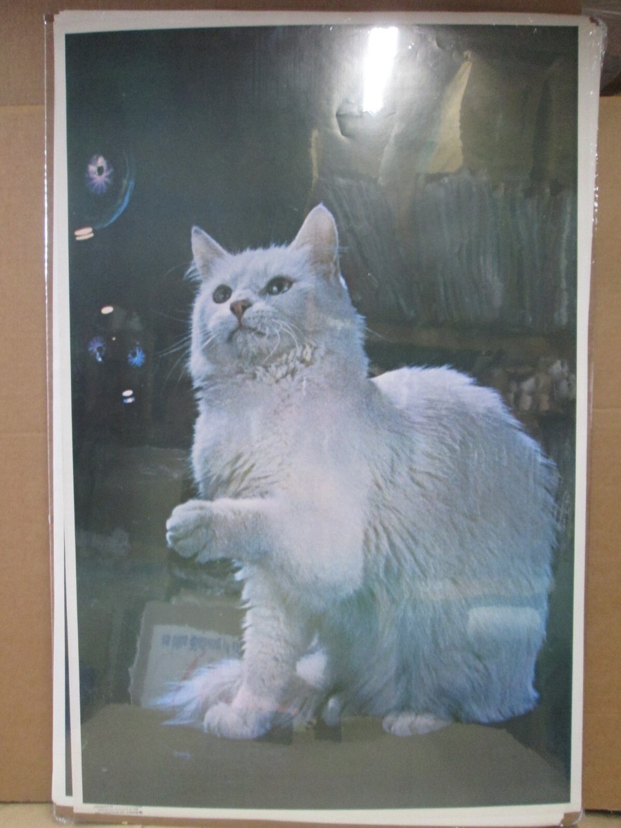 Vintage white Cat 1970's poster bubbles 20563 | eBay