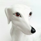 Foto 3 di 9