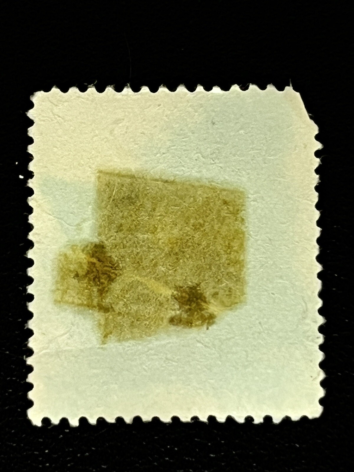 Picture 6 of 10