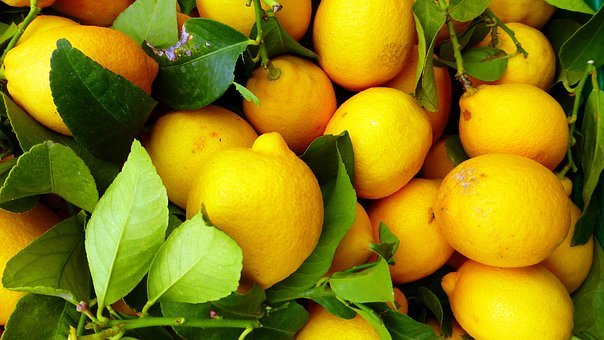Polvere Di Succo Di Limone | Integratore Agrumi Limone - Foto 7