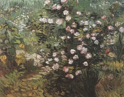 Vincent van Gogh 597 Rosebush in Bloom Arles 1889 Kunstdruck Poster Leinwand Wand D