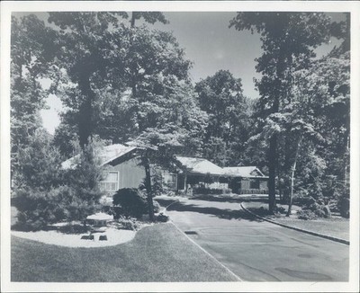 1940 Press Trees House Ranch Style Paved Driveway Historic Vintage Photo