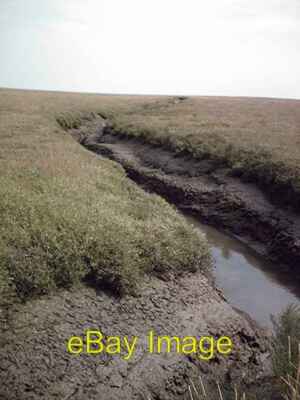 Foto 6x4 Creek and Saltings Tillingham ziemlich funktionslose Salzwiesen c2006